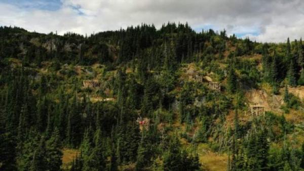 Gold hilft - nicht nur in Covid-19-Tests