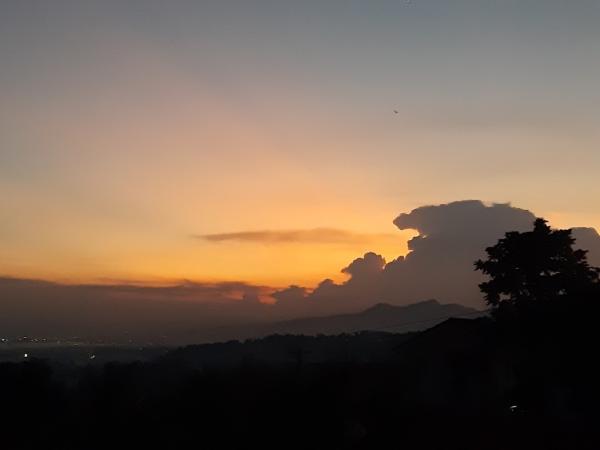 Ins Ausland abgesetzt in der Coronakrise. Reingewaschen und geflüchtet in Krisenzeiten?