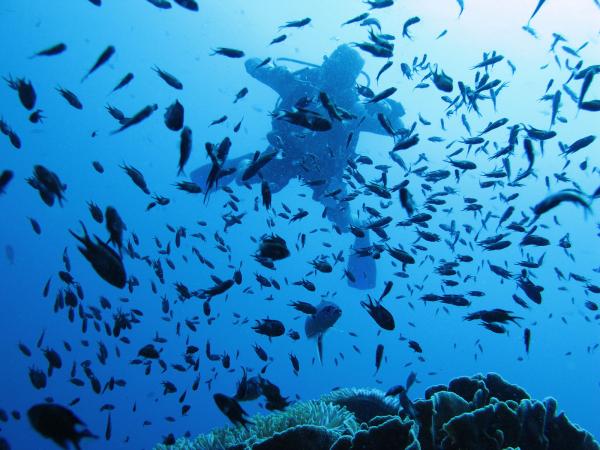 Thailandurlaub - Überholt das Land des Lächelns bald Mallorca?