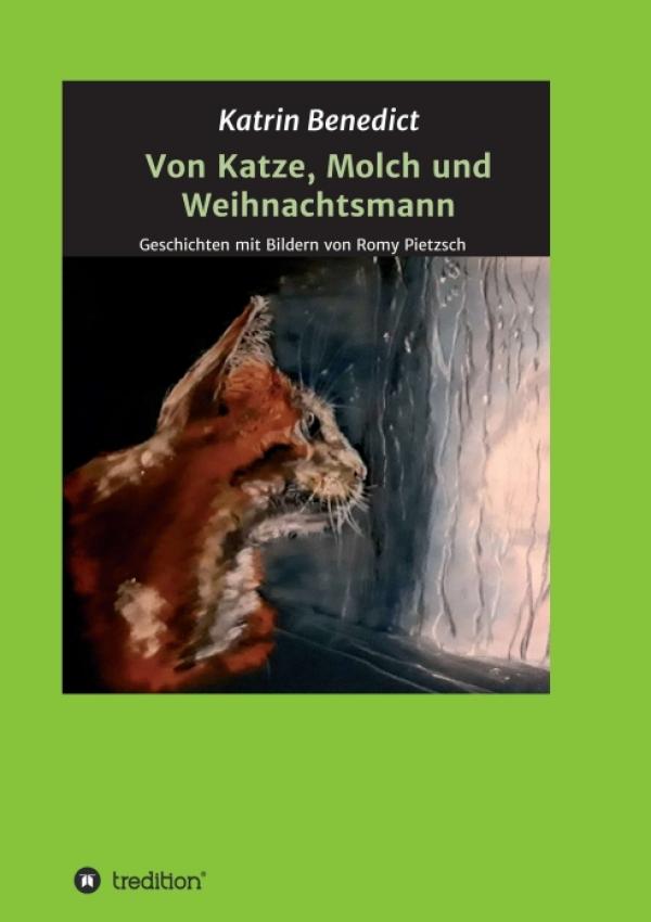 Von Katze, Molch und Weihnachtsmann - Geschichten mit Bildern von Romy Pietzsch