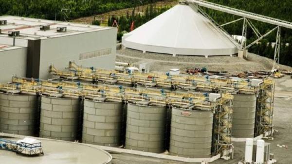 Neulinge wagen sich jetzt an die Börsen