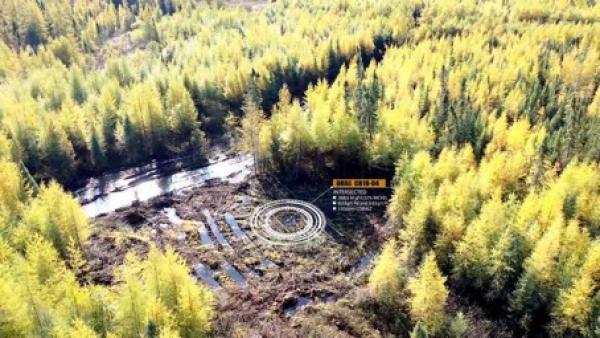 Nickel und Industriemetalle rücken wieder in den Blickpunkt