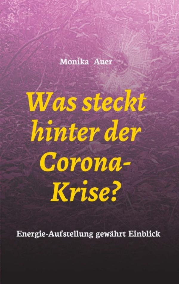 Was steckt hinter der Corona-Krise? - Einblicke in die Energie-Aufstellung 