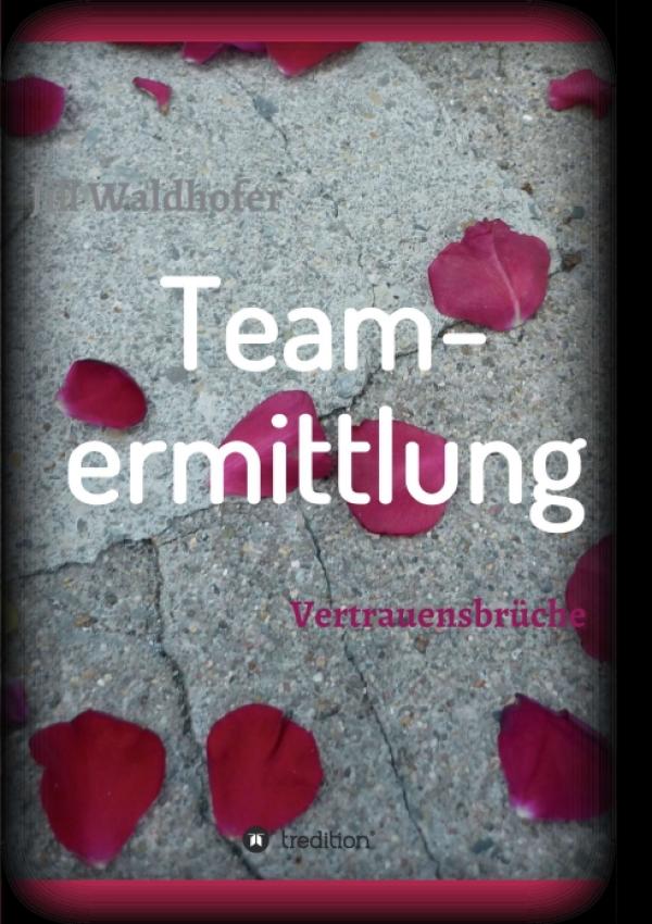 Teamermittlung - nervenzereissender Kriminal-Roman