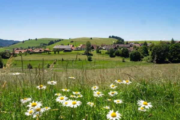 Endlich wieder Urlaub im schönen Breisgau - aber sicher muss es sein