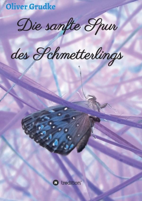 Die sanfte Spur des Schmetterlings - Eine mystische Liebesgeschichte