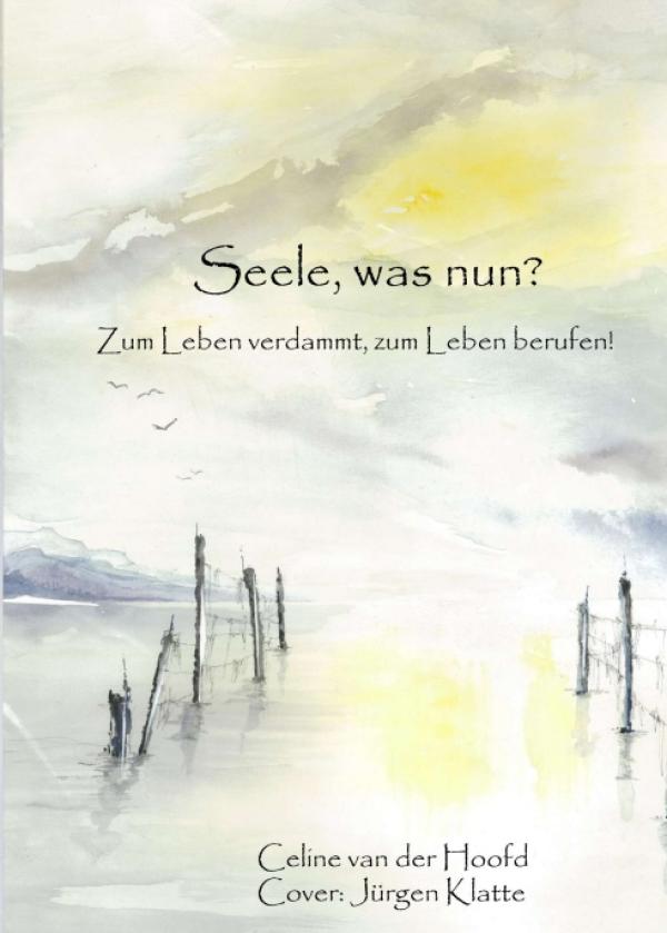 Seele, was nun? - Nachdenkliche und inspirierende Texte rund um das Thema Depressionen und den Weg heraus