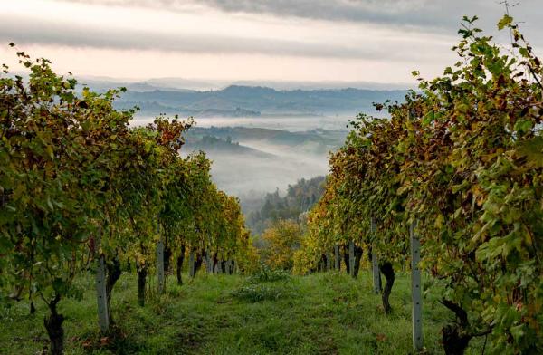 Die Provinz Cuneo im norditalienischen Piemont ist für sicheren Tourismus gewappnet