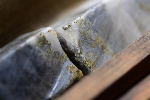 Treasury Metals auf dem Weg zur gemeinsamen PEA für Goliath- und Goldlund