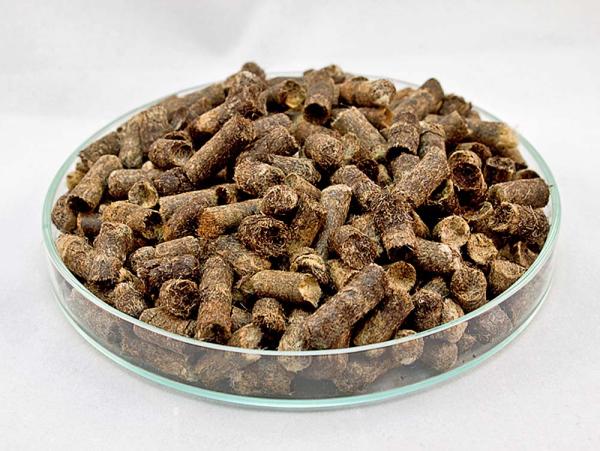 Organischer Dünger - Vorteile von Schafwoll-Pellets