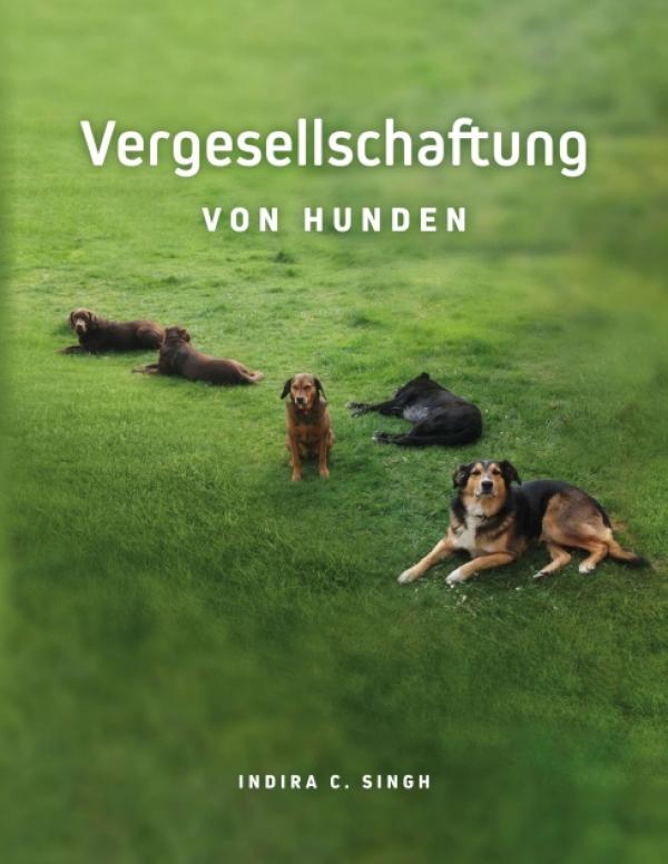 Vergesellschaftung von Hunden - Einblicke in Rudelstellungen