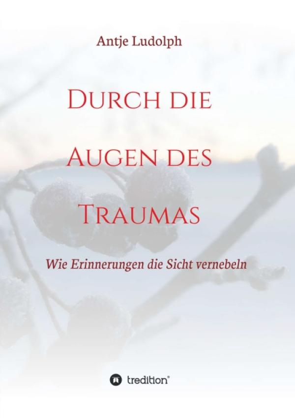 Durch die Augen des Traumas - Interessante Gedichte-Sammlung