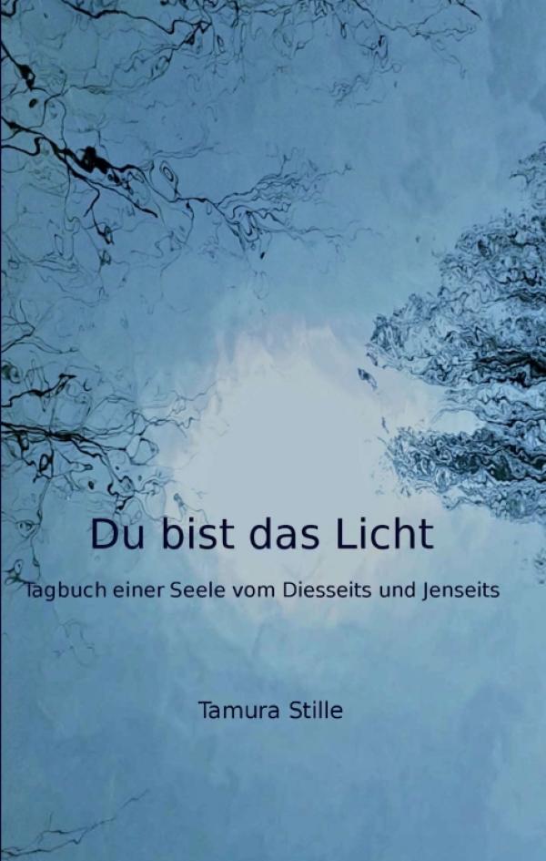 Du bist das Licht - Tagebuch einer Seele vom Diesseits und Jenseits