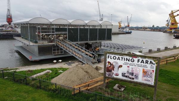 Deutsches Tierschutzbüro veröffentlicht Drohnenaufnahmen von schwimmendem Kuhstall in Rotterdam 