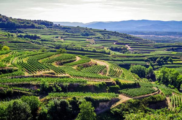 Der Kaiserstuhl lockt und ist immer einen Urlaub wert