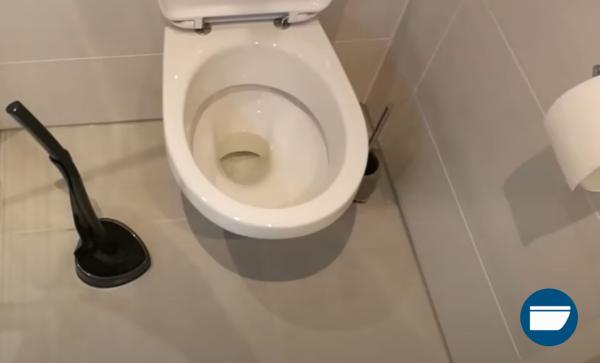 Toiletten-Tipp hilft beim Finden geeigneter Toilettenprodukte