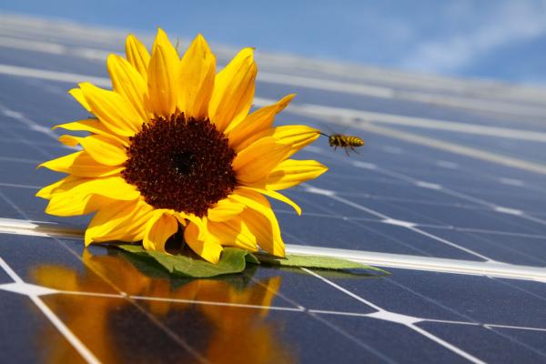 Institut für nachhaltige Stromnutzung (IFNS) empfiehlt Klimatisieren mit Solarstrom