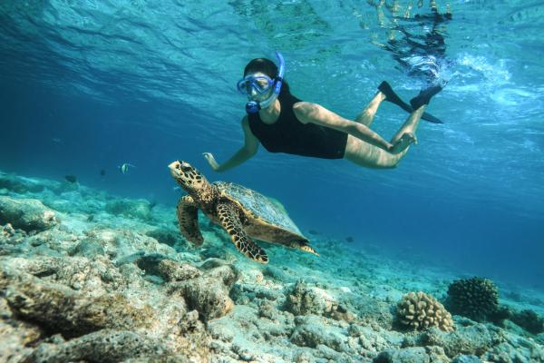 Mit dem "Eco Explorer"- Paket Baros Maldives Hausriff stärken 