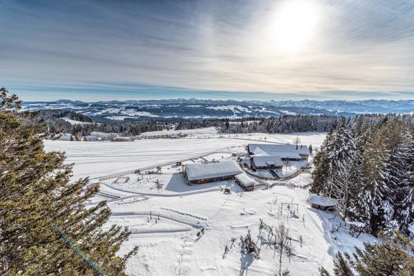 skywalk allgäu - Saisonstart mit abwechslungsreichem Winterprogramm ab 28.01.2022