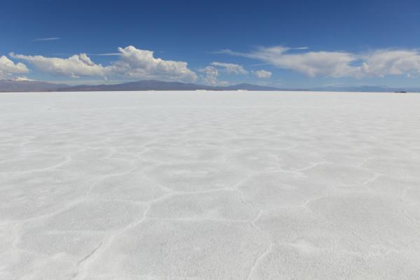 Zijin Mining steckt fast 400 Mio. USD in Lithiumanlage in Argentinien!