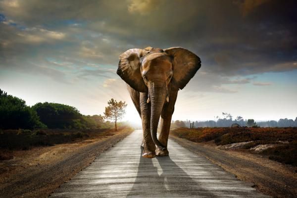 Tembo Gold will 12.000 Meter Bohrkampagne noch im Februar starten