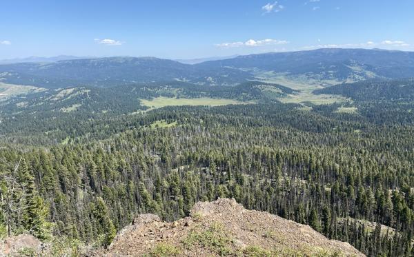 Excellon geht hochgradige Goldchancen des Kilgore-Projekts an