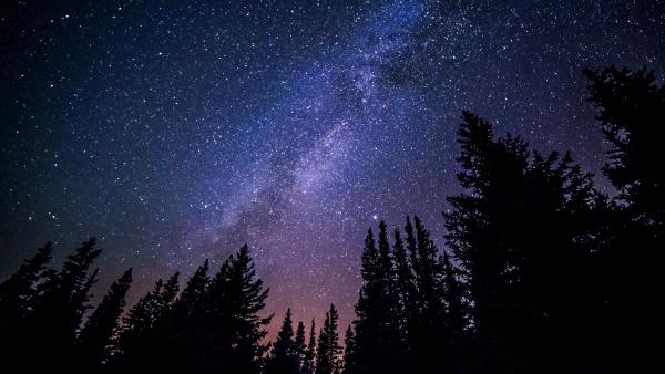 Sternschnuppennächte: Geführte Sternwanderungen am 19. und 20. August 2022 im skywalk allgäu