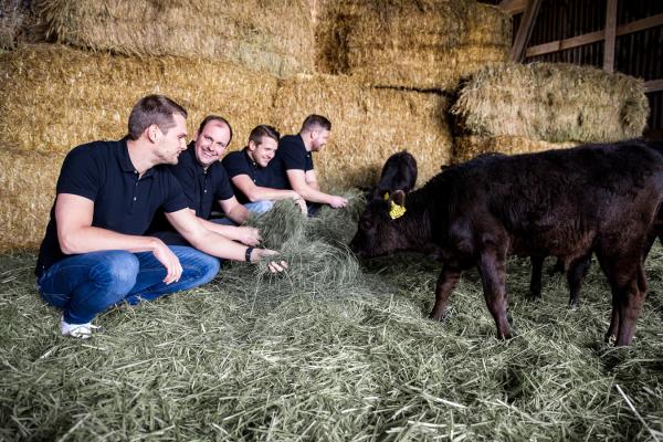 Wagyu-Rinderzucht als profitable Alternative zu Dumpingpreisen und Massentierhaltung