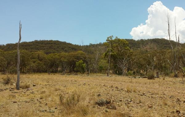 New South Wales unterstützt First Tin mit bis zu 494.000 AUD