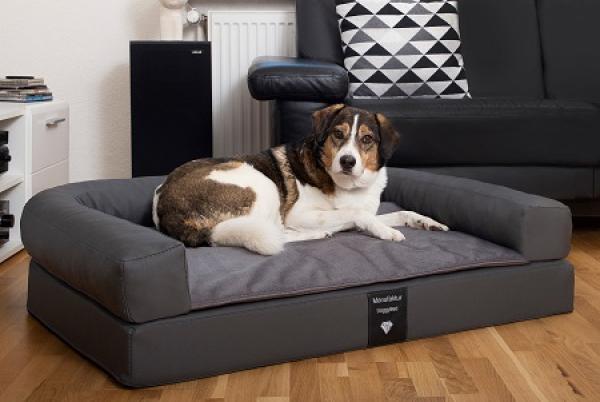 Hundebett xxl orthopädisch Kunstleder