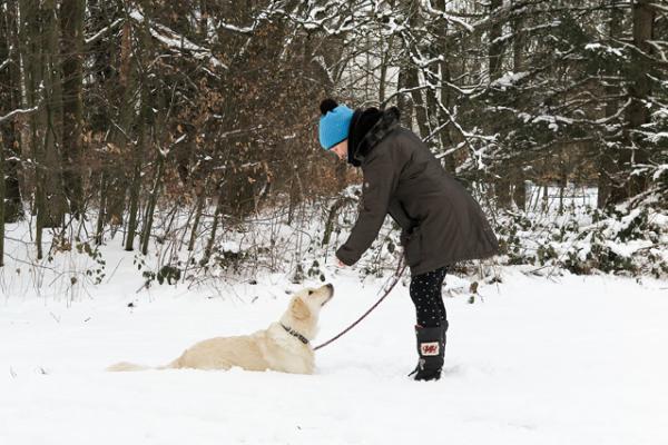 Sicher Gassi gehen im Winter - Verbraucherinformation der ERGO Versicherung