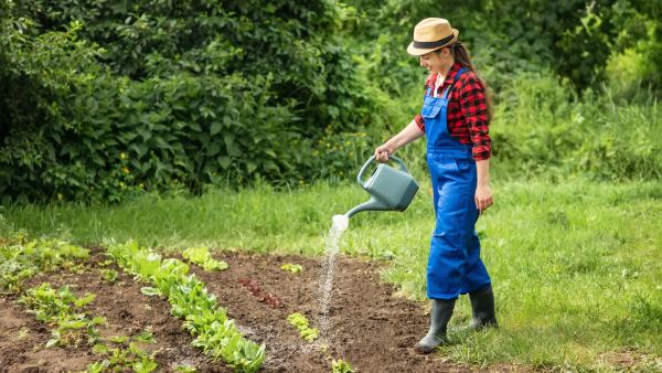 Jens Schwamborn: Gartenarbeit ist gut für die Gesundheit 