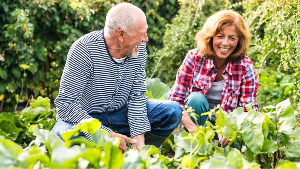 Jens Schwamborn: Wie Gartenarbeit die Psyche beeinflusst  