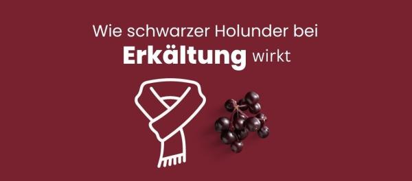 Wie Holunder bei Erkältung und Grippe wirkt