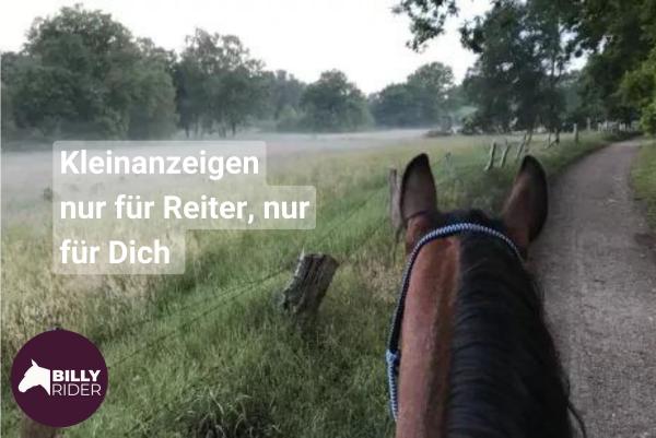 BillyRider: Nachhaltigkeit im Reitsport wächst