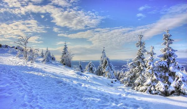 Information-harz.de - Sehenswertes aus dem Harz