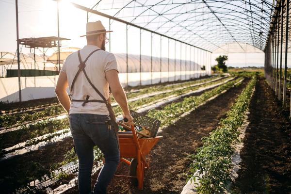 Nachhaltiges Düngen im Frühling mit Schafwollpellets