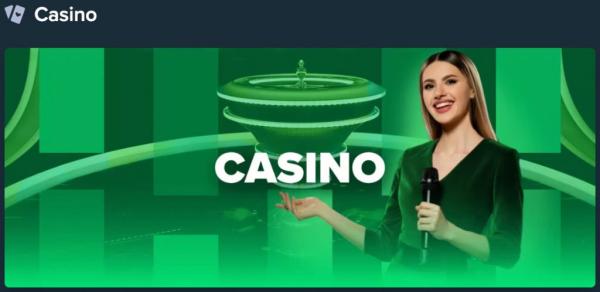 Das Stake Casino in Deutschland