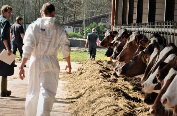 Fütterungscontrolling im Milchkuhbetrieb: Das einzigartige AVA-Fortbildungskonzept für Tierärzte und Landwirte
