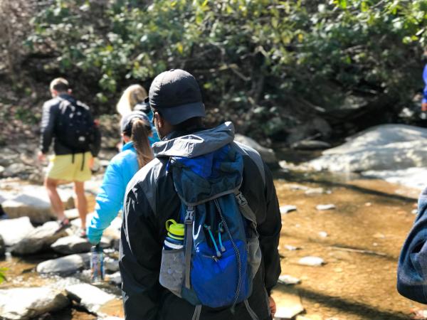 Erleben Sie bewegendes Fasten im Odenwald