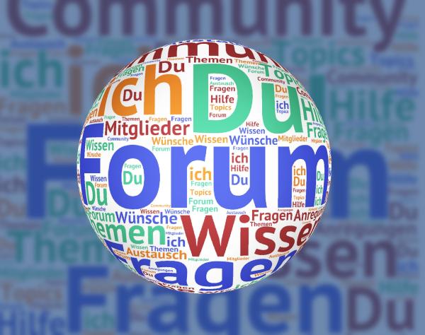 Was Sie für ein Internet-Forum benötigen: Software und Forum-Domain