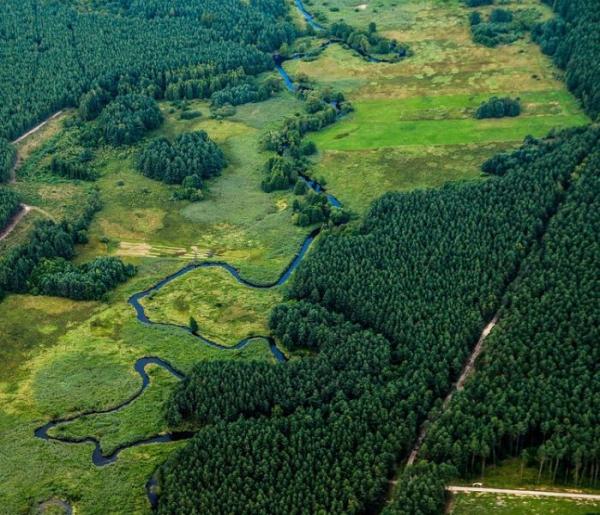 CollectiveCrunch kündigt eine neue Lösung an, die die biologische Vielfalt der Wälder und die Kohlenstoffspeicherung nahezu in Echtzeit überwacht