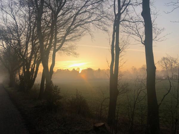 Tipps von der "Tippse" für angehende "Diktatoren"