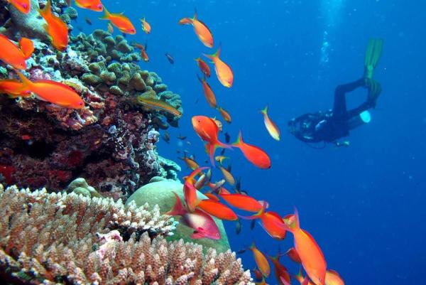 Mehr Sicherheit für Taucher im Kandima Maldives dank eigener Dekompressionskammer