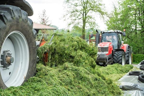 AGRAVIS Raiffeisen AG gibt wichtige Tipps für die Grasernte