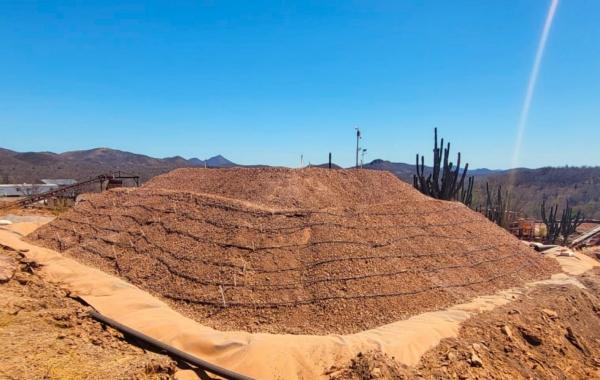Starke Zahlen: Tocvan meldet steigende Gold- und Silbergehalte der Pilar-Großprobe
