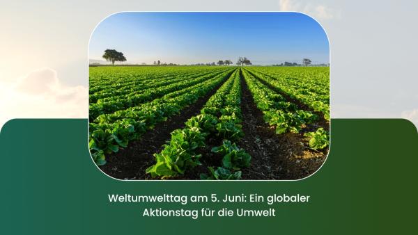 Weltumwelttag am 5. Juni: Ein globaler Aktionstag für die Umwelt