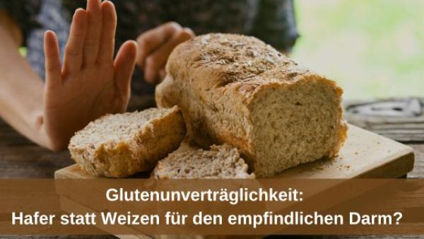 Glutenunverträglichkeit: Hafer statt Weizen für den empfindlichen Darm?