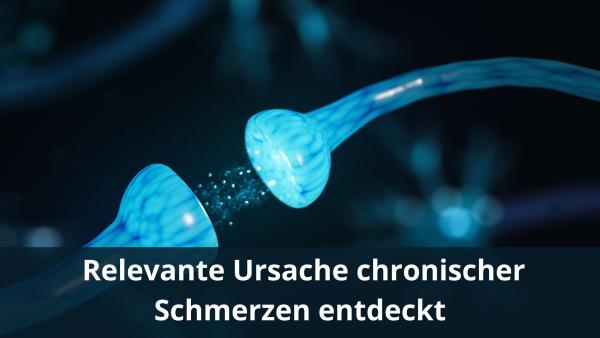 Relevante Ursache chronischer Schmerzen entdeckt