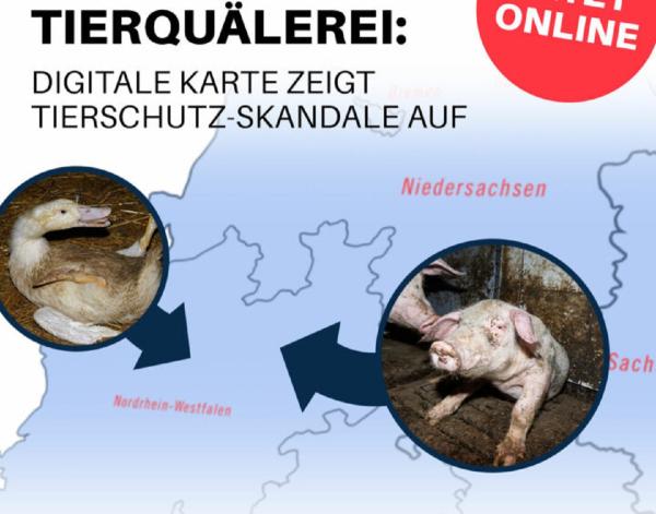 Neue Datenbank der Tierquälerei zeigt: Vor allem Brandenburg ist betroffen - 26 Skandale in den letzten Jahren